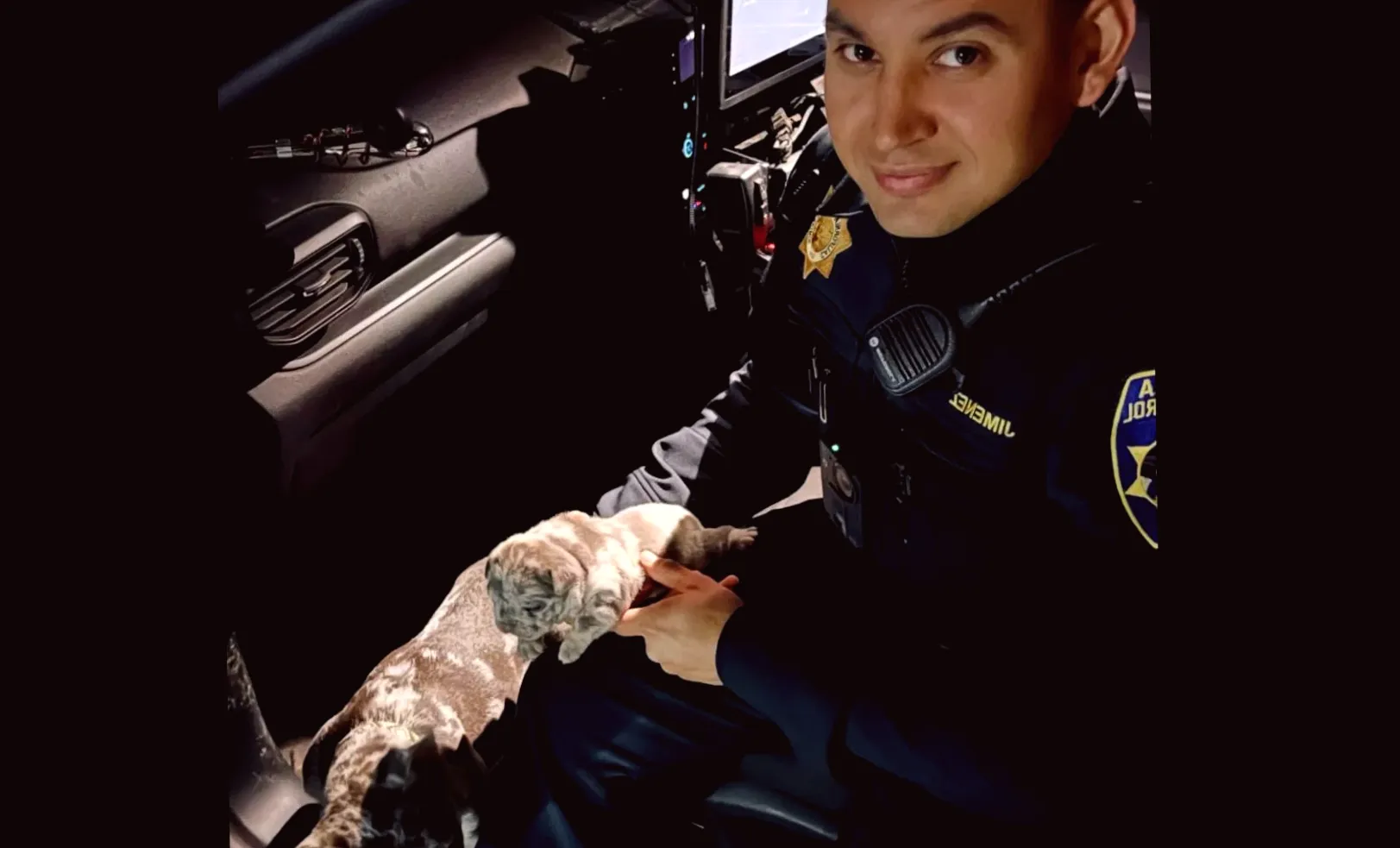 French Bulldog Unharmed in Thanksgiving DUI Rollover Crash