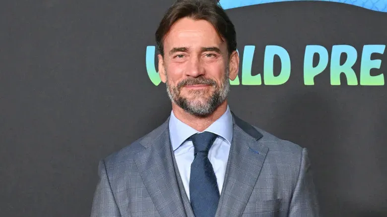 Reportedly Revealed: Identity of Masked Man Who Attacked CM Punk at WWE Survivor Series