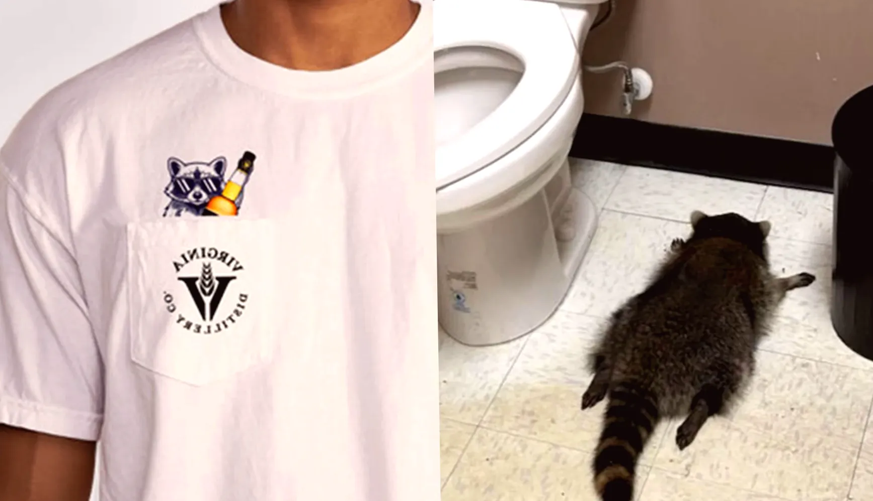 Fundraising Drive for Liquor Store in Honor of Viral 'Drunk Raccoon'