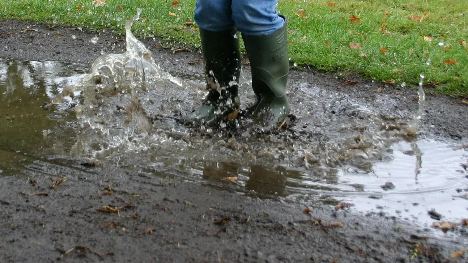 Disruption caused by rain in the South West