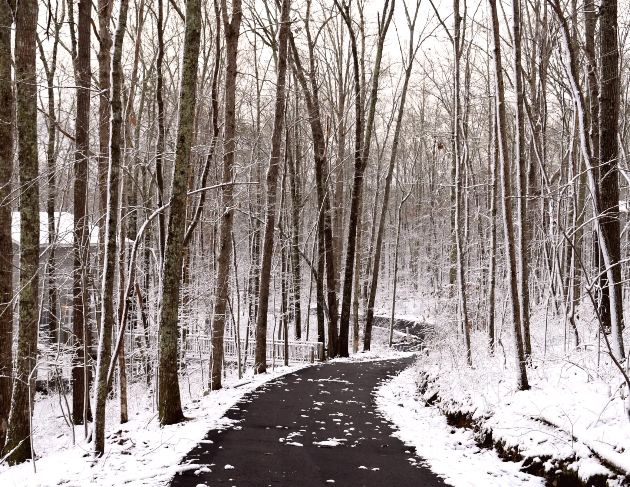 The lowest temperature ever recorded in each state