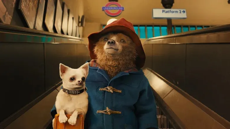 Ranking of all three Paddington movies
