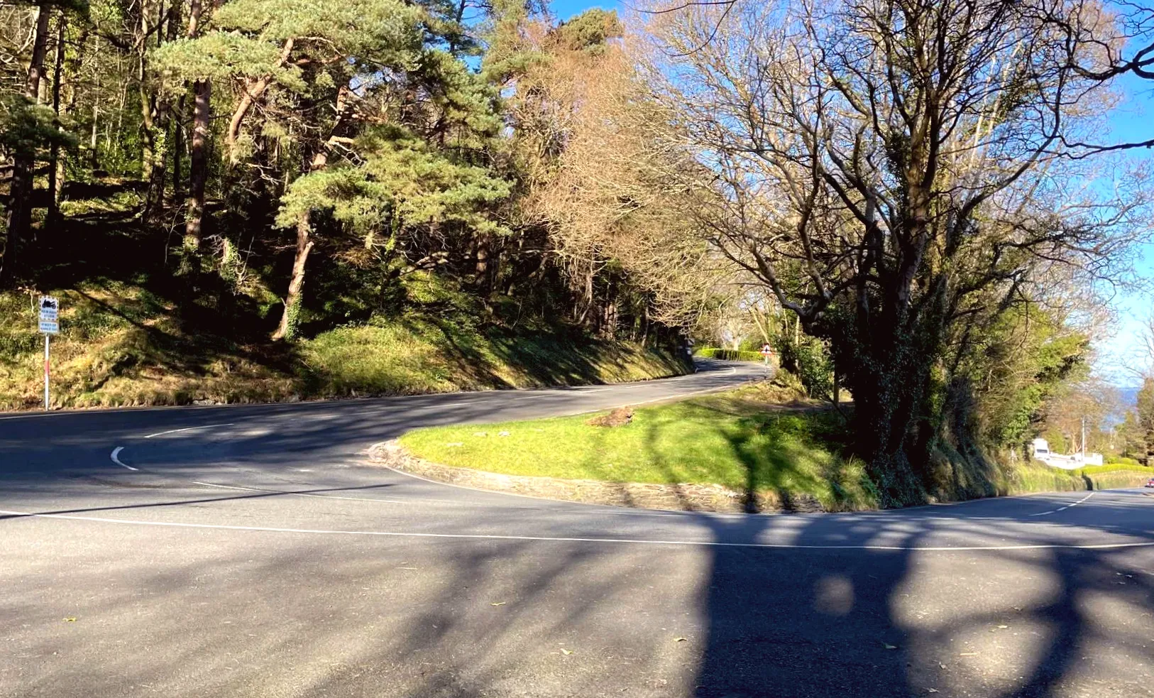 Section of Mountain Road closed for tree removal
