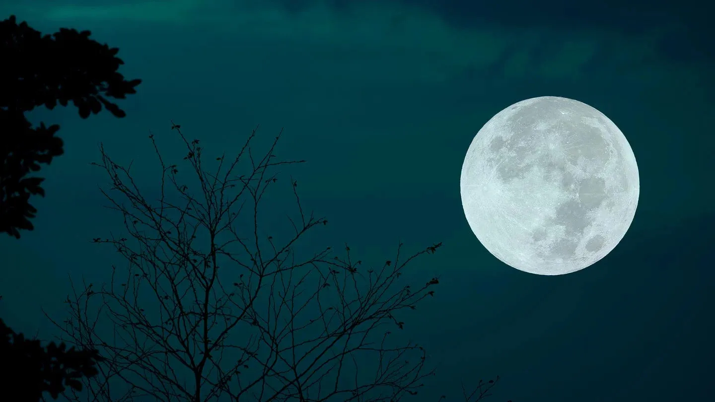 When to View This Week's Spectacular Cold Supermoon in December