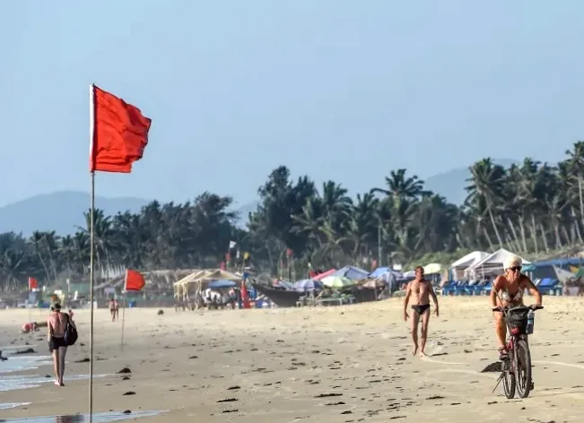 23 people killed in nightclub fire in Goa, India