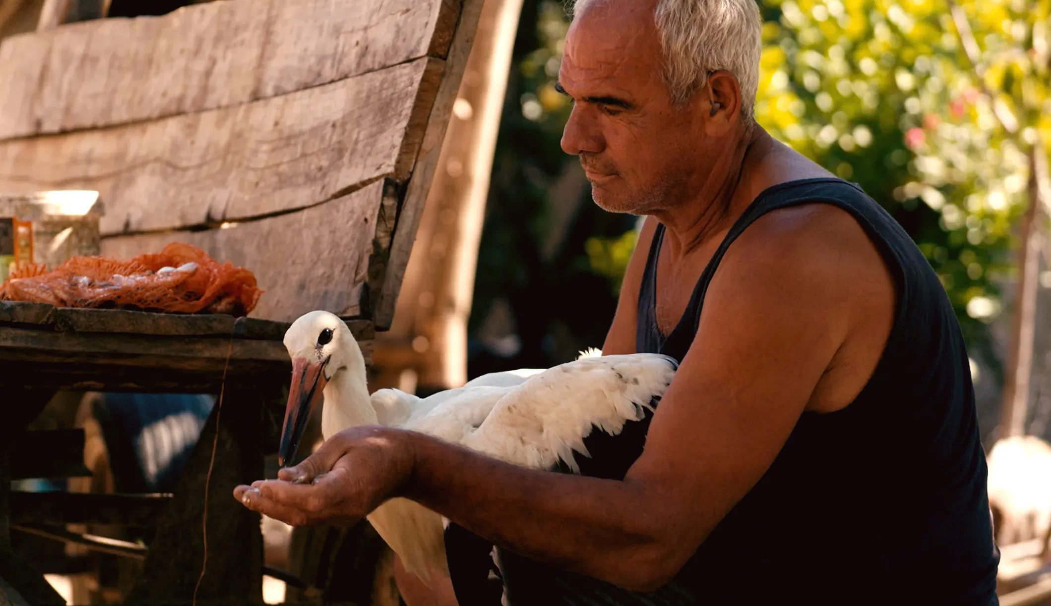 IDA Documentary Awards: Best Feature Goes to 'The Tale of Silyan'