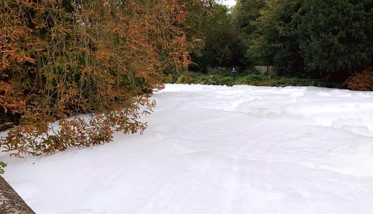 River with foam covering to receive new stock of 3,000 fish