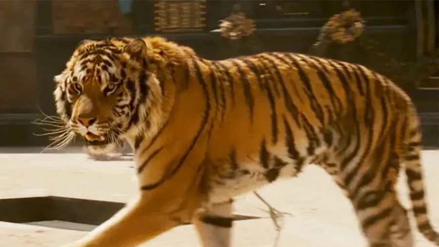 The All-Time Favorite Movie for Men Remains Unchanged, Now Available for Ultra-Manly Streaming