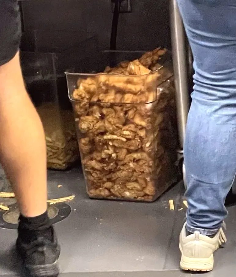 New manager causes concern among Raising Cane's employees: 'I've never seen it this bad,' says employee