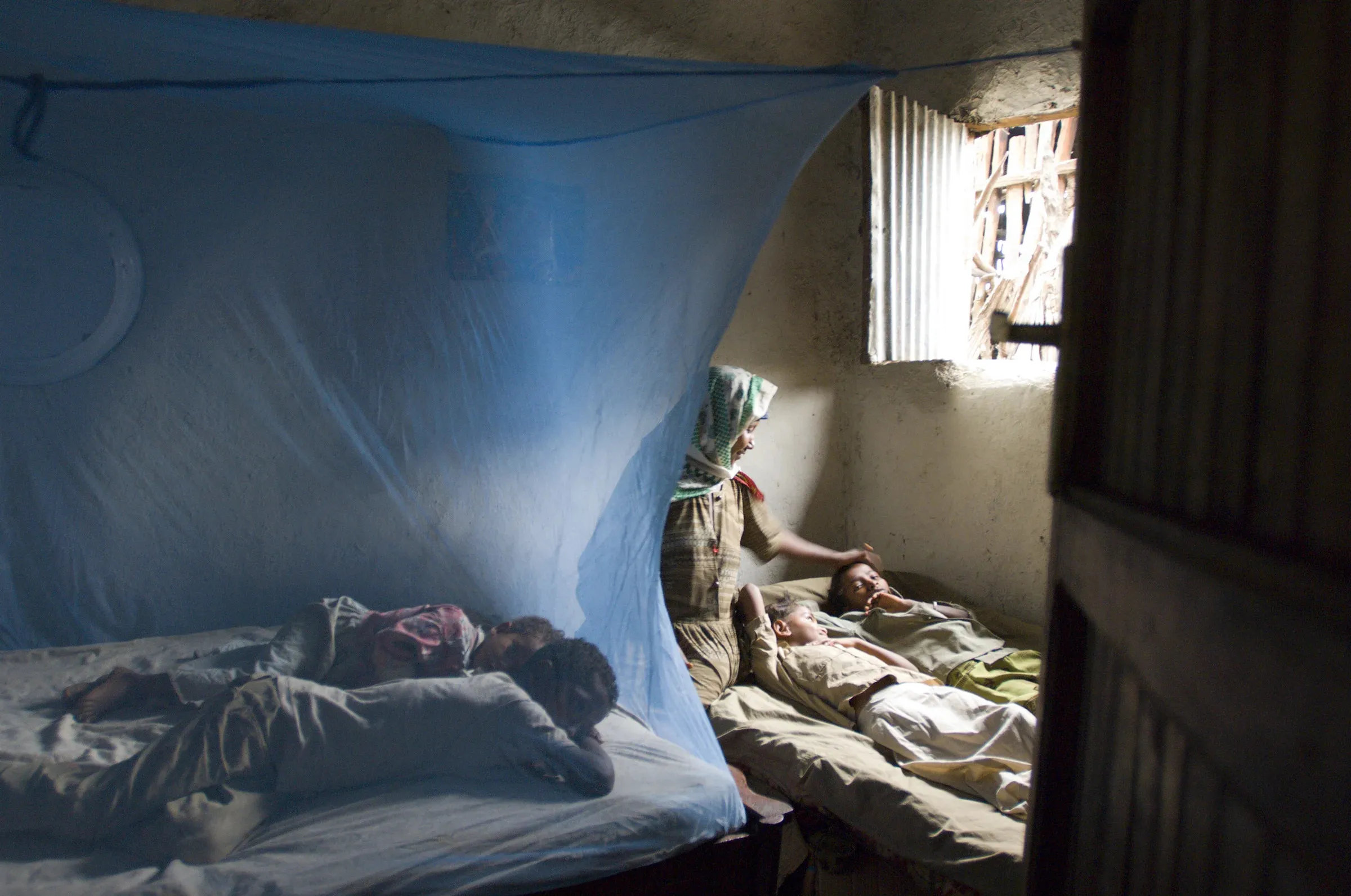 The eradication of malaria