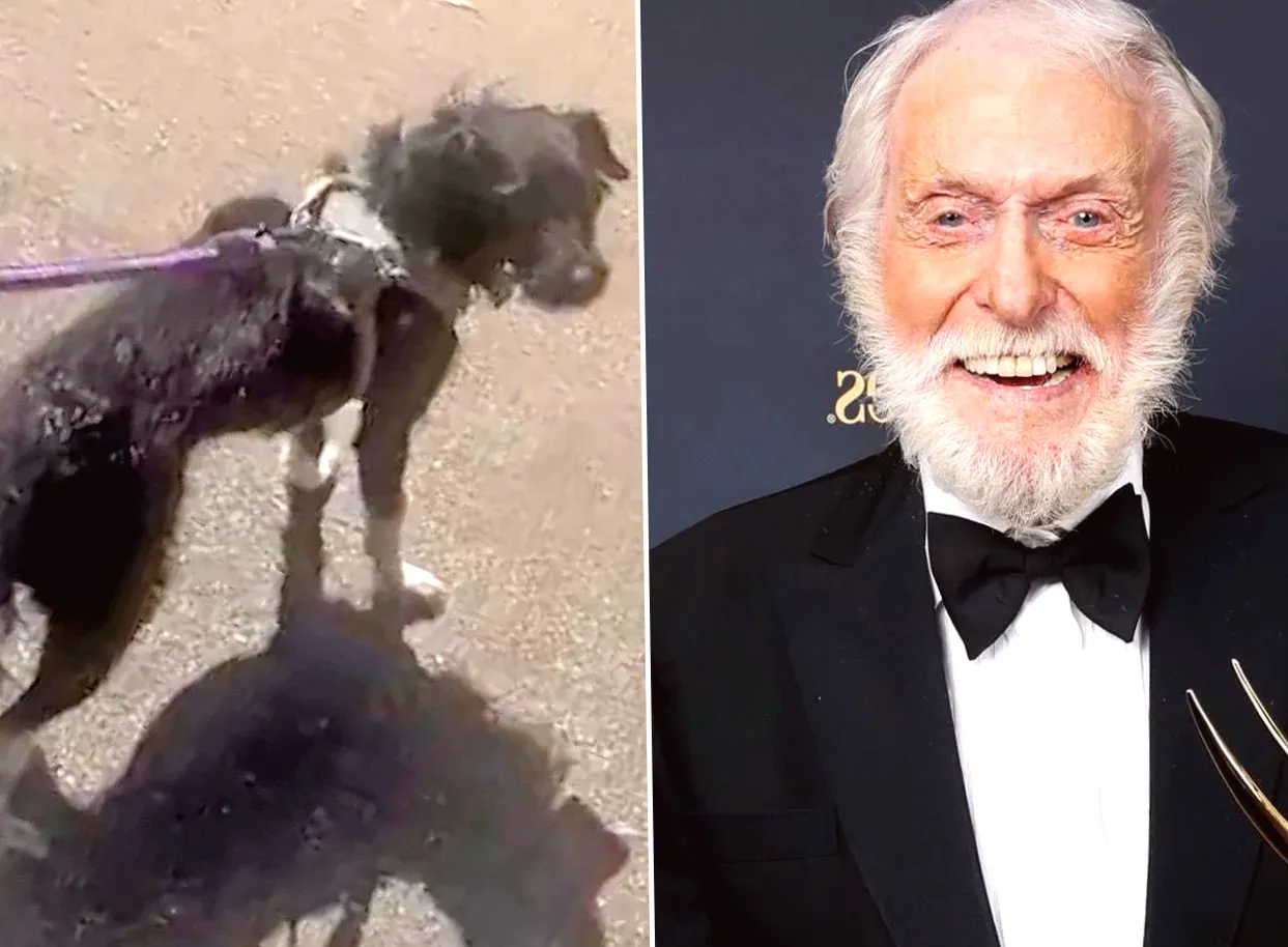 Dick Van Dyke Mistakenly Believed He Swallowed His Dentures, until He Caught His Dog Bootsy Poppins Chewing on Them