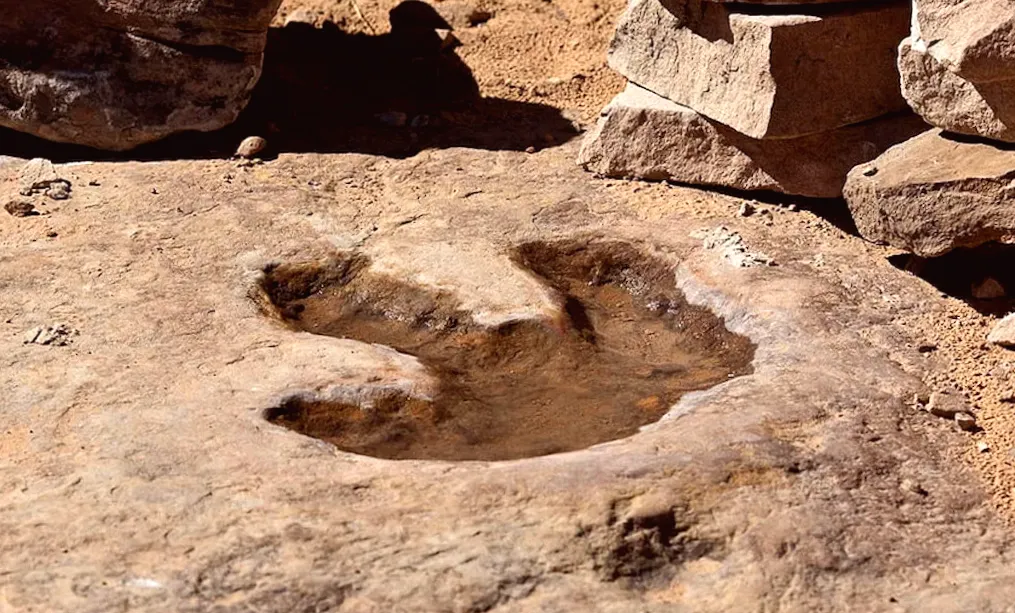 18,000 Tracks Found in the Largest Dinosaur Tracksite in the World