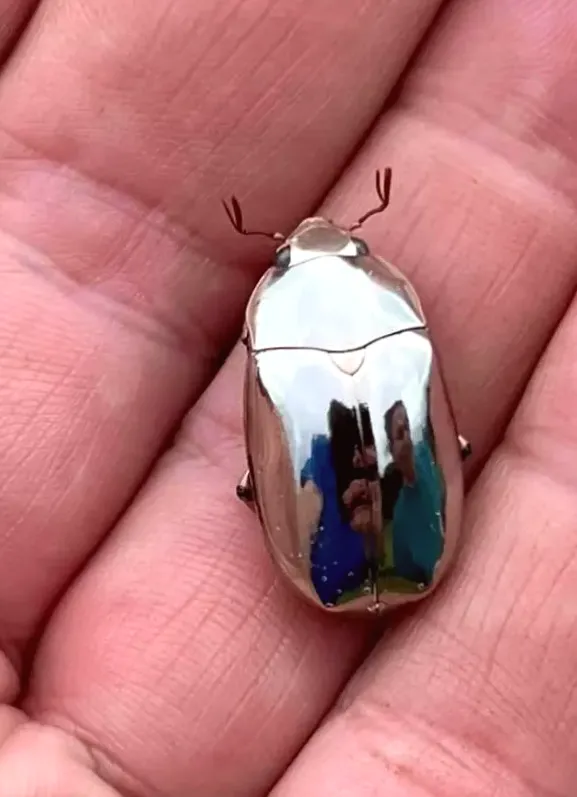 63 Rare Photos That Will Alter Your View of the World