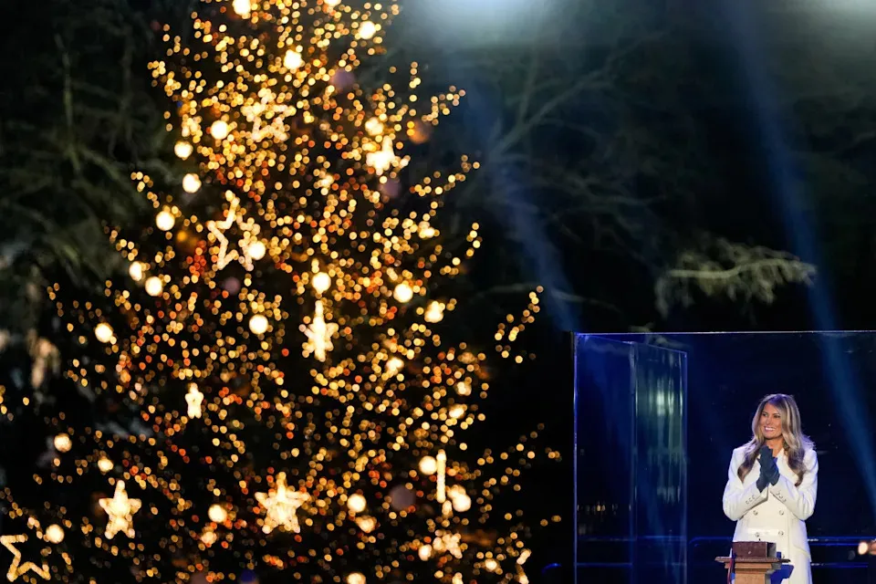 Melania Trump illuminates National Christmas Tree following president's countdown