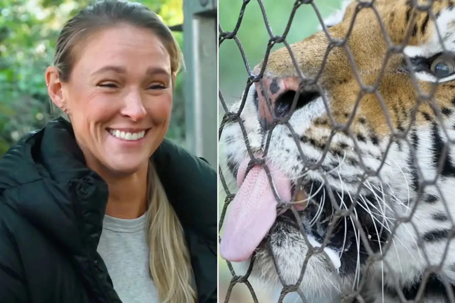 Kylie Kelce Turns Red as Zookeeper Makes Joke About Playing Taylor Swift's 'Forest' Song to Entice Tigers
