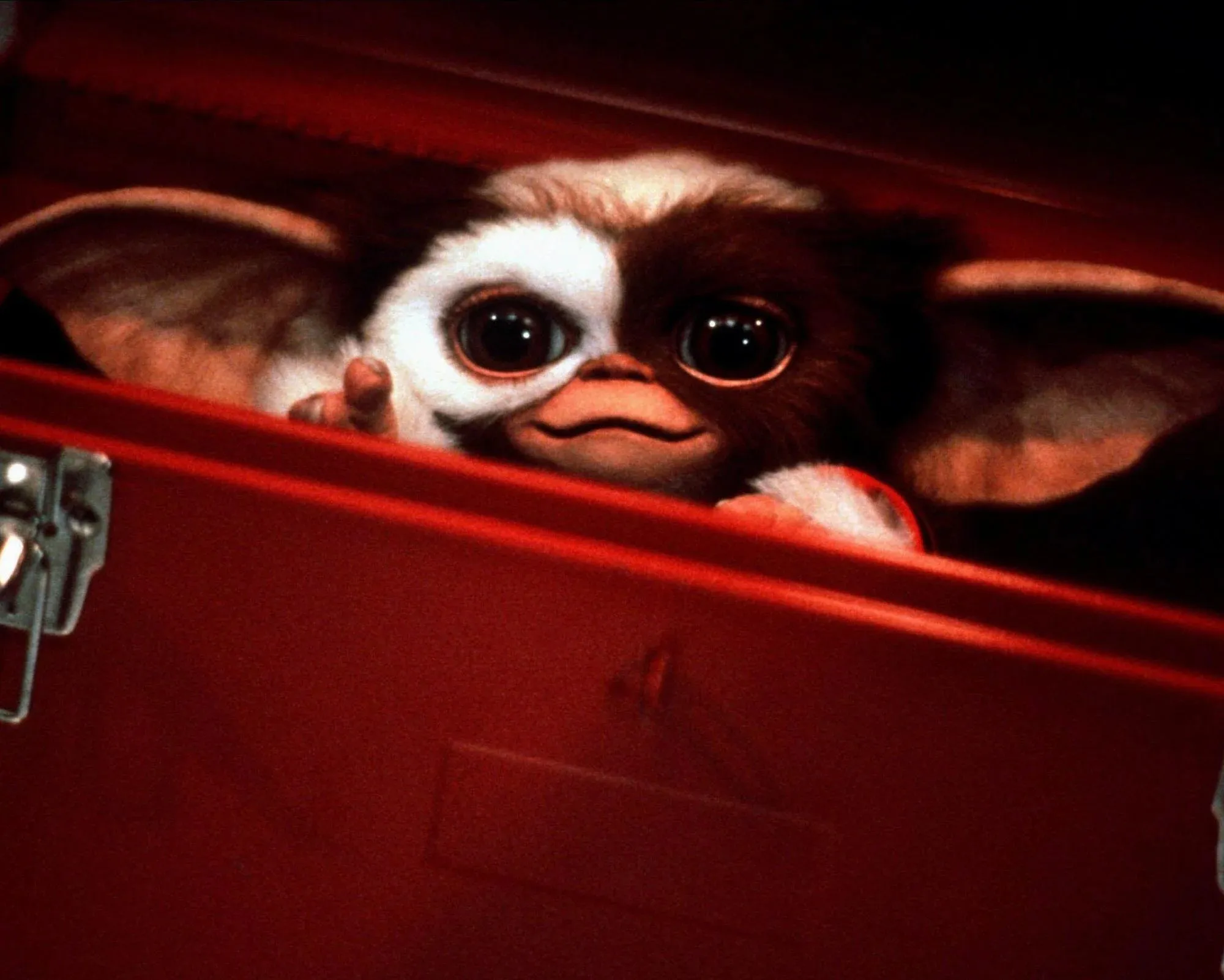 'Embedded in my mind': why Gremlins 2: The New Batch is my feelgood movie