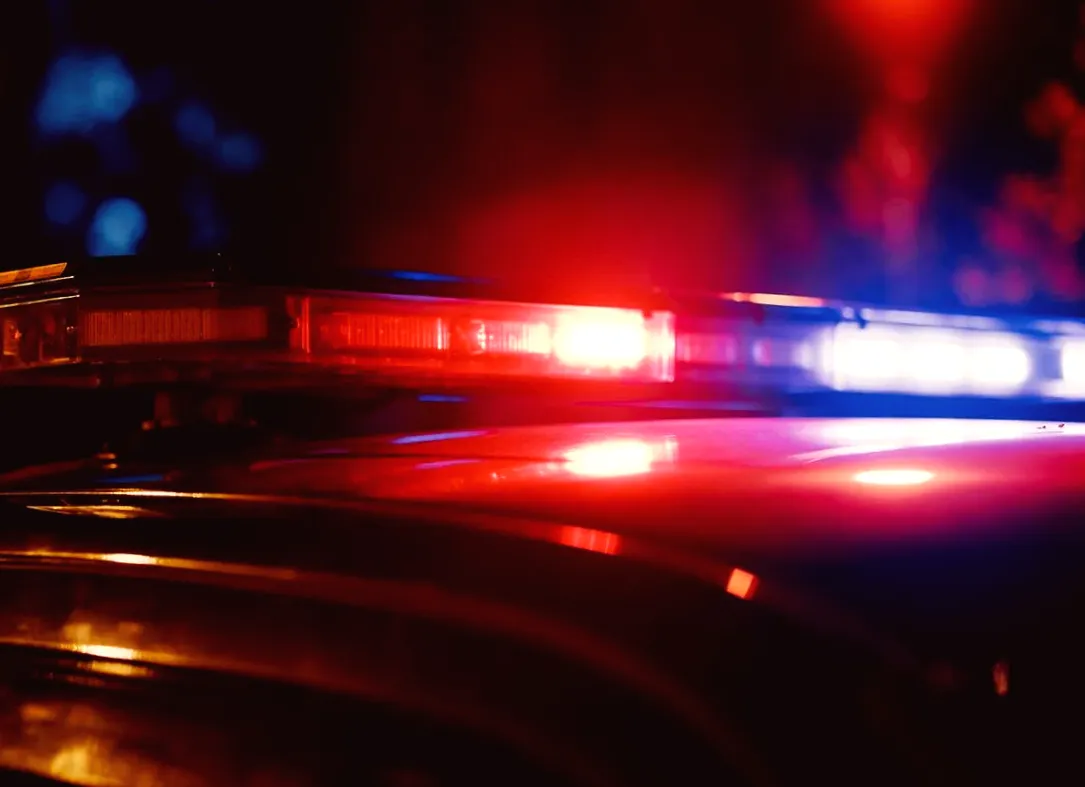 50-Year-Old Man and His 3-Month-Old Granddaughter Killed in 'Brutal' Pitbull Attack