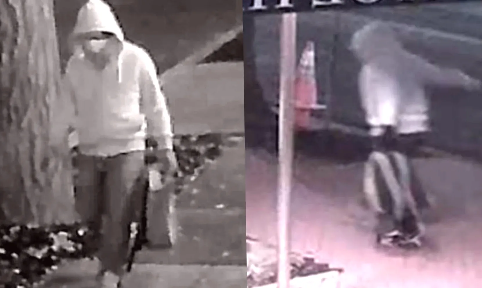 Sources report FBI apprehends suspect in 2021 D.C. pipe bomb case