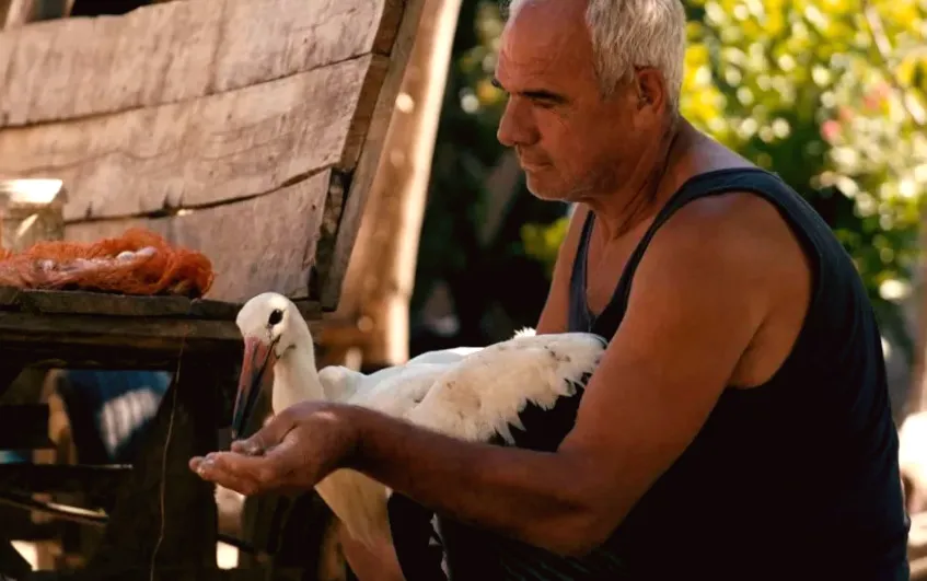 'The Story of Silyan' Wins Best Documentary at the IDA Documentary Awards