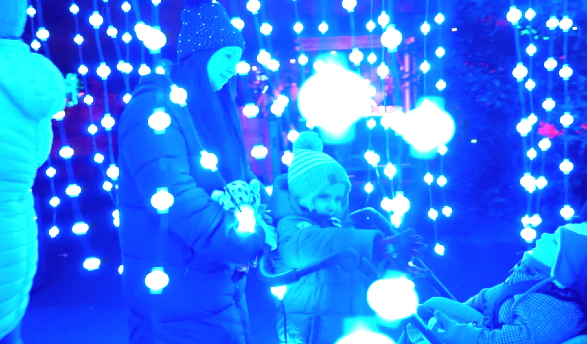 Zoo hosts a special light show for children from hospice