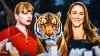 Kylie Kelce shares which Taylor Swift song zookeepers play to set the mood for tigers