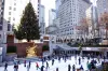 The heartwarming tale of the 2025 Rockefeller Center Christmas tree