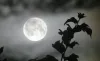 Is there a full moon tonight? Understanding the meaning of December 2025 cold moon and today's moon phase