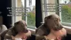 Video: Dog Demonstrates Superior Hosting Skills When Guest Arrives